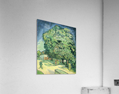 Blossoming chestnut tree Acrylic Print