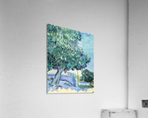 Blossoming chestnut tree 2 Acrylic Print