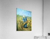 Farm worker Acrylic Print