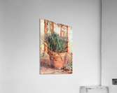 Flowerpot with Chives Acrylic Print