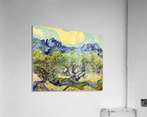 Landscape with olive Trees Acrylic Print