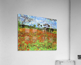 Poppy Fields Acrylic Print
