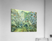 The Ravine Acrylic Print