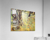Tree trunks Acrylic Print