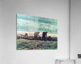 Two farmers Acrylic Print