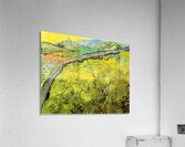 Wall Acrylic Print