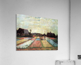 Bulb Fields Acrylic Print