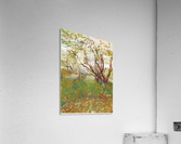 Cherry Tree Acrylic Print