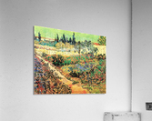 Flowering Garden with Path Acrylic Print