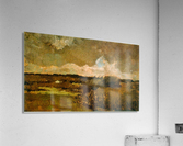 Marshy Acrylic Print