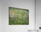 Patch of grass Acrylic Print