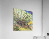 Slip Away Acrylic Print