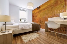 Arles View from the Wheat Fields Mural print
