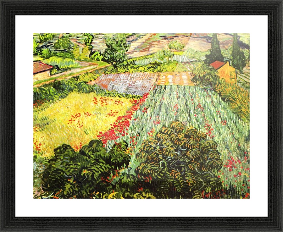 Blooming Field Picture Frame print
