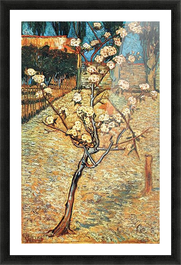 Flowering pear Picture Frame print