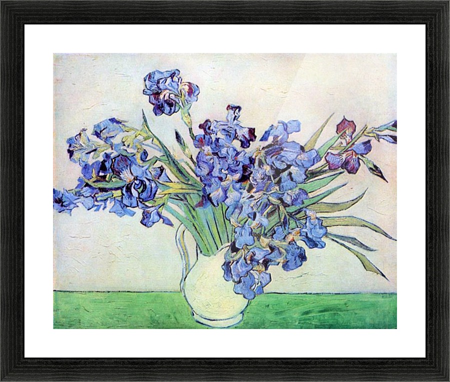 Irises 2 Picture Frame print