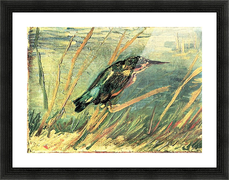 Kingfisher Picture Frame print