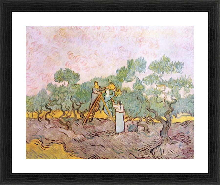 Olive Pickers Picture Frame print