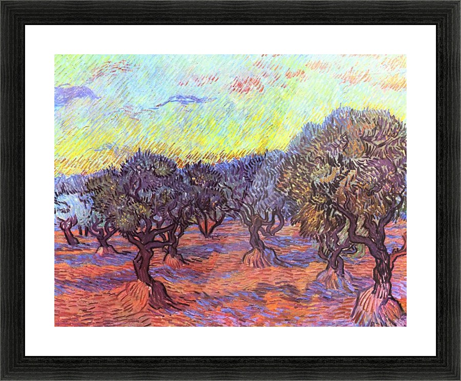Olive Trees 2 Picture Frame print
