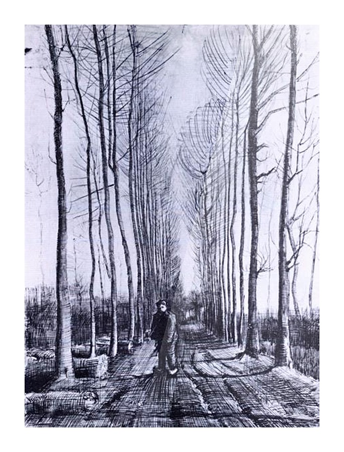 Poplar avenue Picture Frame print