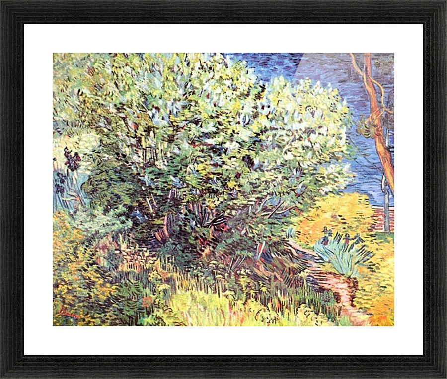 The bush Picture Frame print