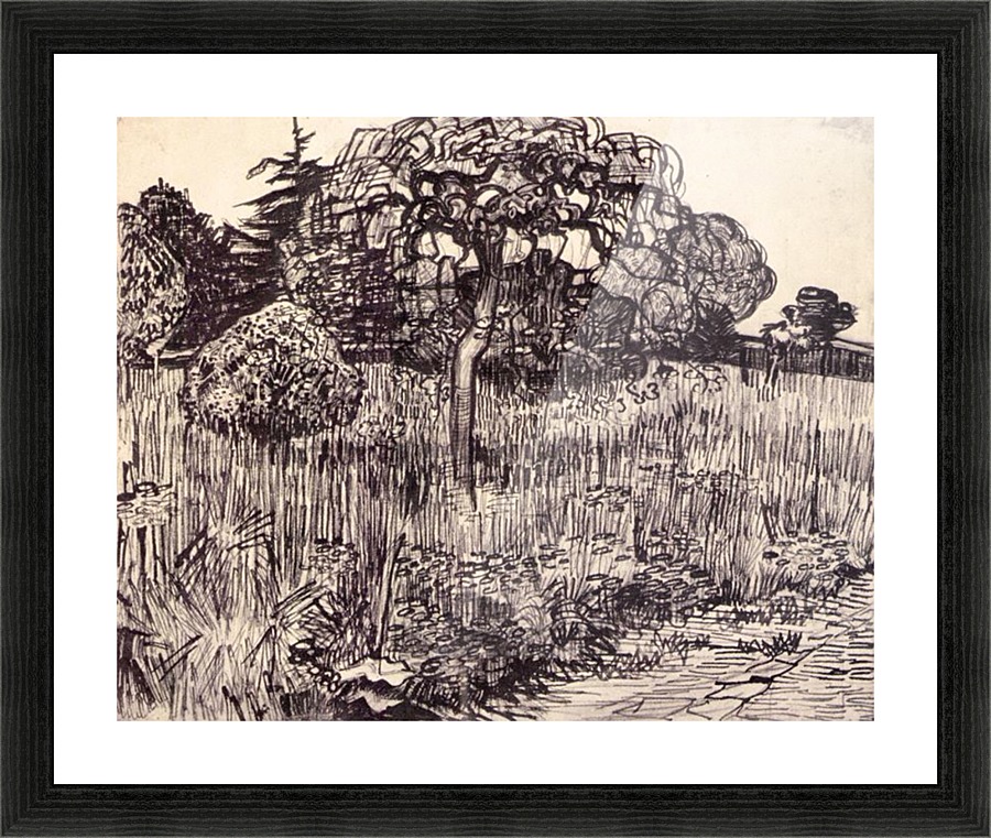 Tree in a meadow Picture Frame print