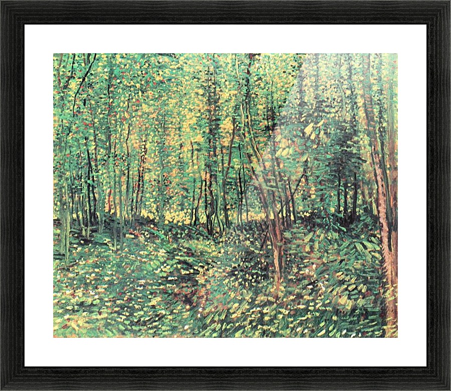 Trees and undergrowth Picture Frame print