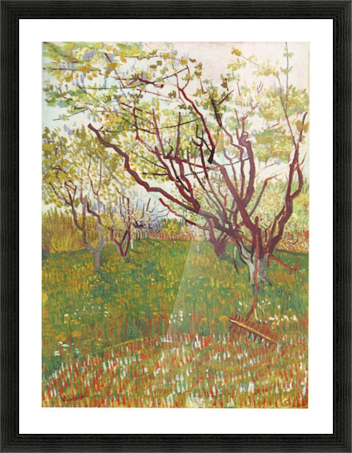 Cherry Tree Picture Frame print