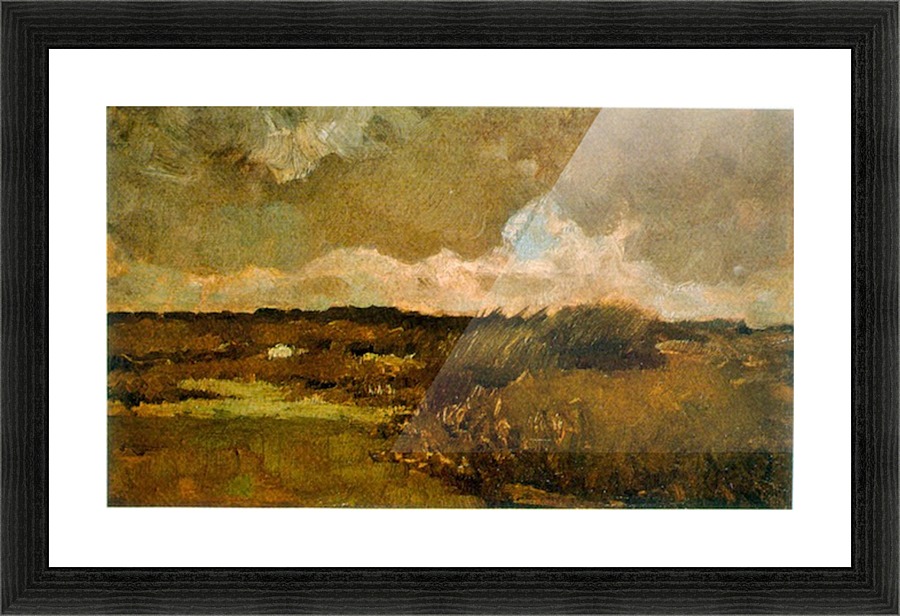 Marshy Picture Frame print