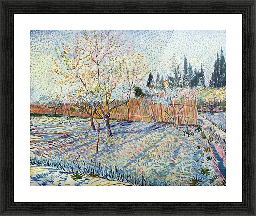 Orchard with cypress Picture Frame print