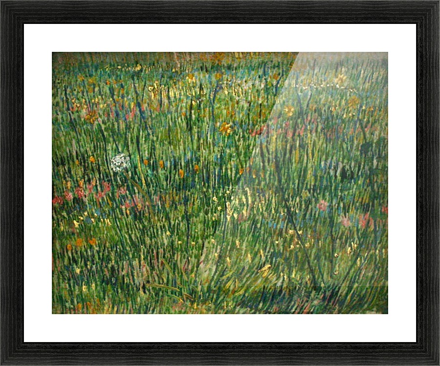 Patch of grass Picture Frame print