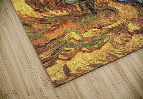 The sheaf Binder Van Gogh puzzle