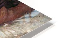 Female Nude HD Metal print