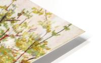 Cherry Tree HD Metal print