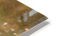Marshy HD Metal print