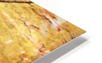 Le Semeur HD Metal print