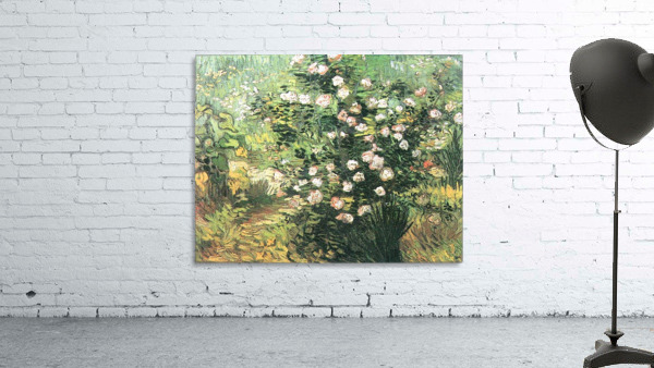 Flowering Rosebush Wall Preview