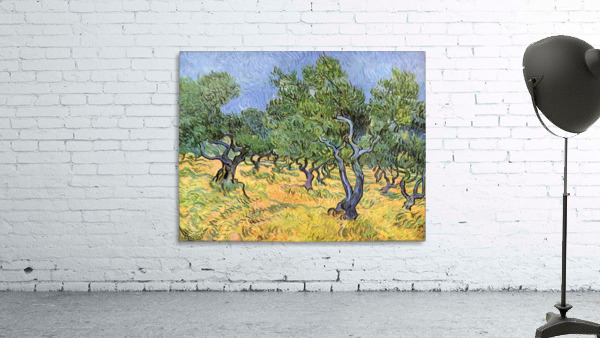 Olive Trees Wall Preview