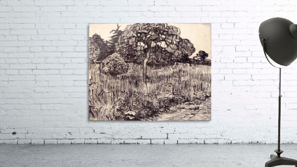 Tree in a meadow Wall Preview