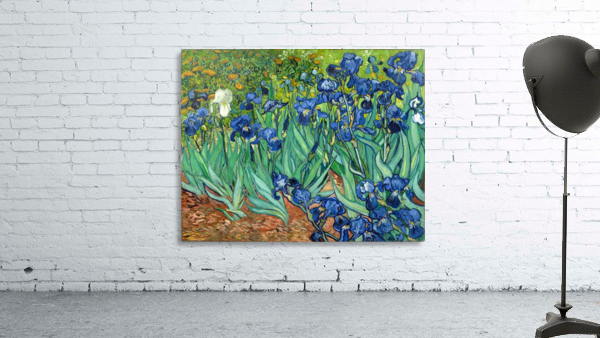 Irises Wall Preview