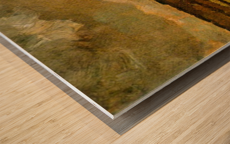 Marshy Wood print