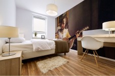 The guitar player Mural print