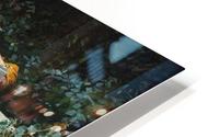 Sneaking a peek HD Metal print