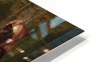 In the harem HD Metal print