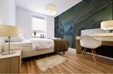 Moonscape with horse Mural print