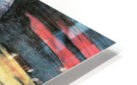 Rosa Shapiro HD Metal print